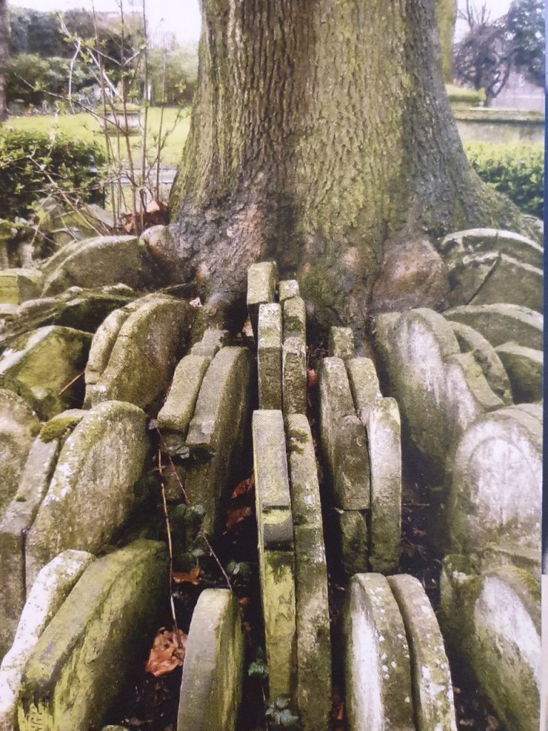 Hardy Tree, Old St Pancras